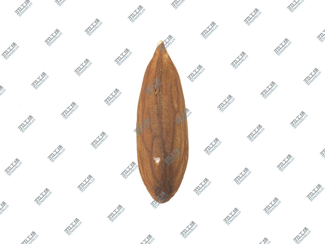 images/goods_img/2021040232/Highly Detailed Almond Scan 3D model/2.jpg